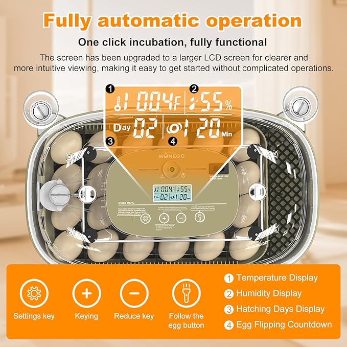 24 Egg Incubators for Hatching,Automatic Egg Turning and Temperature Control Humidity Display,Hatch Day,Automatic Water Refill,360° Viewing for Chicken Quail Duck - Image 2