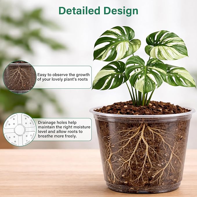 20 Pack 8/6/5/4/3.5 Inch Reinforced Large Clear Nursery Pots with Drainage Hole, Transparent Variety Pack Plastic Plant Pot for Vegetable Propagation, Root Cutting, Seed Starting - Image 3