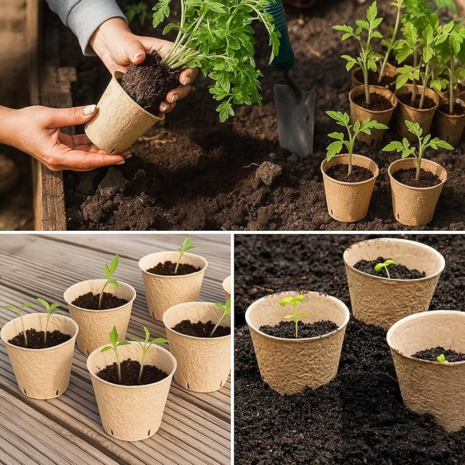 120 Packs 3.15 Inch Peat Pots, Biodegradable Pots for Seedlings with Drainage Holes, Herb Seed Starter - Image 7