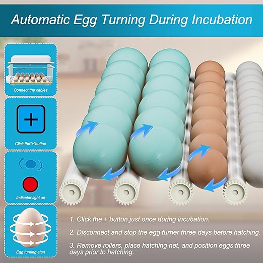 Incubators for Hatching Eggs, 36 Egg Incubator with Automatic Egg Turning and Humidity Control, Chicken, Duck, Goose, Bird, Quail, Incubator for Farm, Lab, Home（White） - Image 3