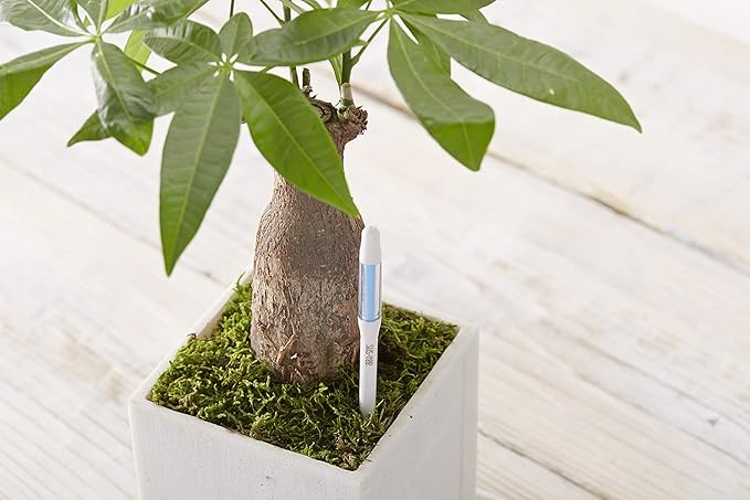 Sustee Aquameter (Large Green Refillable - Bundle of 2) - House Plant Soil Moisture Meter, Humidity Sensor Probe, Water Level Indicator - Best for Indoor Potted Plants - Image 7