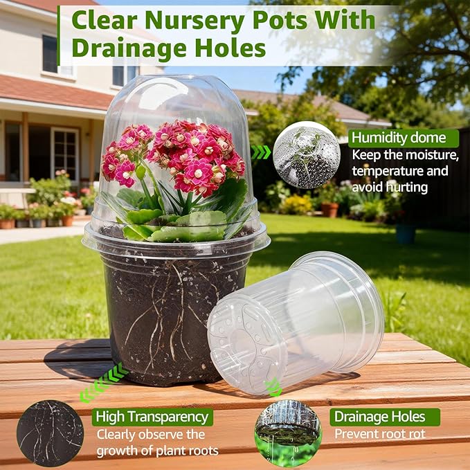 MIXC Clear Nursery Pots with Humidity Domes, 5/4/3.5 Inch Reinforced Transparent Plastic Pots for Planting with Drainage Holes, for Tomato Seedlings, Cactus, and Herbs, 30 Pack - Image 3