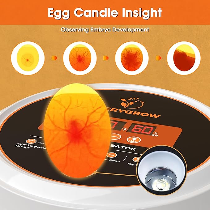 Incubators for Hatching Eggs, 22 Eggs Smart Incubator with Automatic Egg Turning and Humidity Control, Automatic Water Adding for Hatching Chicken, Duck, Quail Goose [2025 Upgrade] - Image 5