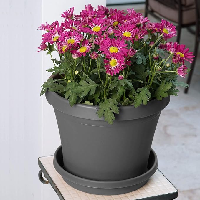 Bloem Terra Resin Saucer Tray: 4.75" Bottom Width - Charcoal Gray - Matte, Durable, Ribbed Bottom, Indoor and Outdoor, Fits 6" Terra Pots - Image 4