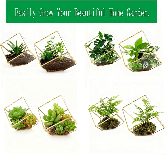 ELEGANTLIFE Glass Geometric Plant Terrarium,Succulent & Air Planter for Home Garden Office Decoration(Gold Cubic Set of 2) - Image 3
