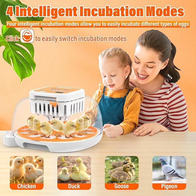 ONKO 12 Egg Incubator with Auto Temp & Humidity Control for Home, Farm, Classroom, Auto Egg Turner & Stop, External Water Refill, Air Vent, 360° Clear View, Hatching Chicken, Duck, Goose, Pigeon Eggs - Image 4