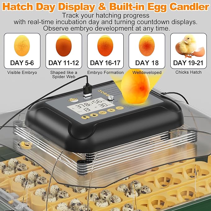 30 Egg Incubator for Hatching Eggs with Automatic Egg Turning, Temperature & Humidity Display, Hatch Day Countdown, Auto Water Refilling System, Egg Candler, Multifunctional Egg Tray for Chicken - Image 4
