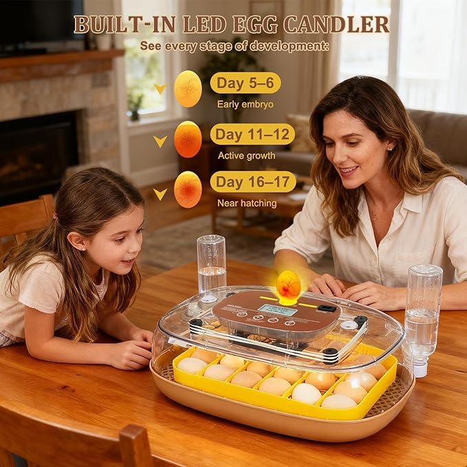 Smart 24-Egg Incubator for Hobbyists, Full-Stage Adaptive Humidity (Dual-Bottle) & Temp Control, Custom-Interval Auto Turn & Auto Stop, Preset Incubation Days, Adjustable Egg Spacing - Image 6