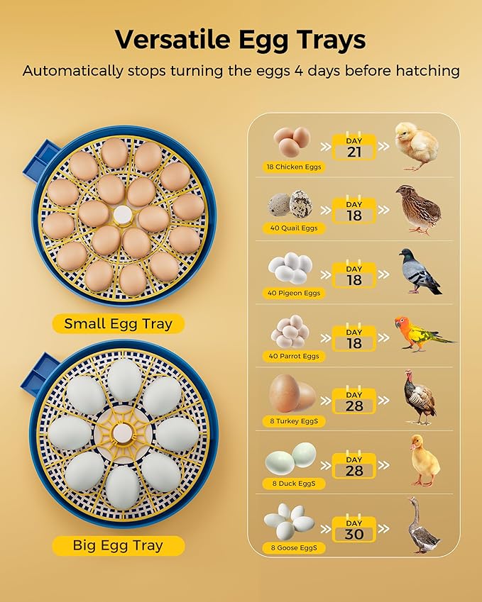 18 Incubators for Hatching Eggs, Automatic Egg Turning and Humidity Control, 360 View, Suitable for Chickens, Ducks, Quails, and Other Birds - Image 4