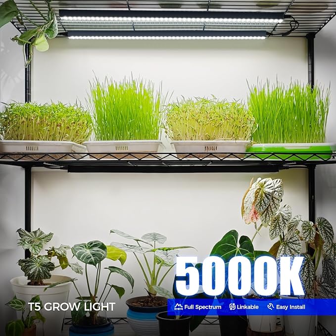 Barrina T5 Grow Lights for Indoor Plants, 2FT 5000K Full Spectrum LED Grow Light with Black Cover, T5 Grow Light Strip, Under Cabinet Plant Light with Switch Cord, Linkable, Plug and Play, 4 Packs - Image 3