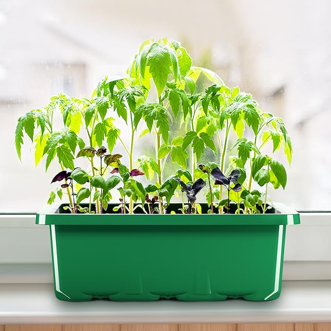 MIXC 10 Packs Seed Starter Tray Seed Starter Kit with Humidity Dome (120 Cells Total Tray) Seed Starting Trays Plant Starter Kit and Base Mini Greenhouse Germination Kit for Seeds Growing Starting - Image 7