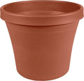 Bloem Terra Resin Saucer Tray: 8" Bottom Width - Matte, Durable, Ribbed Bottom, Indoor and Outdoor, Fits 10" Terra Pots, Terra Cotta by Bloem