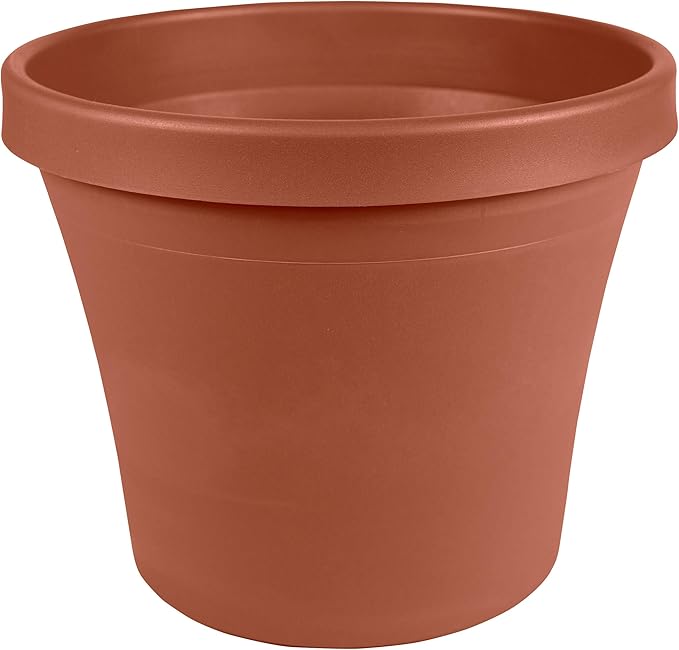 Bloem Terra Resin Saucer Tray: 8" Bottom Width - Matte, Durable, Ribbed Bottom, Indoor and Outdoor, Fits 10" Terra Pots, Terra Cotta by Bloem