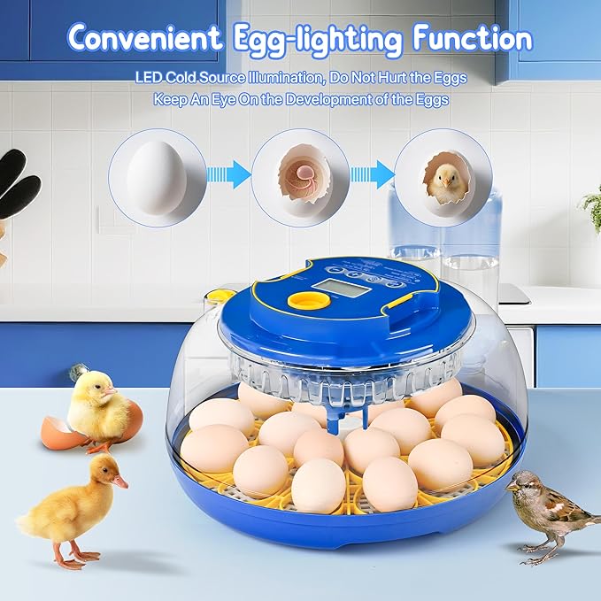 18-36 Eggs Incubators for Hatching Eggs with Automatic Egg Turning and Humidity Control, for Chicken, Duck, Quail, Goose, Parrot Eggs - 360° View for Farm, Classroom, Home Use - Image 3