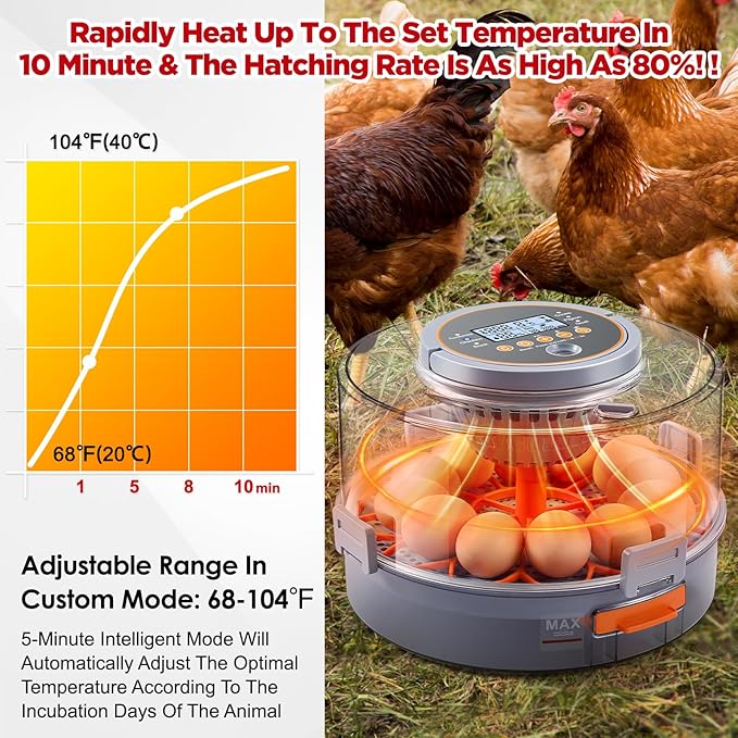 Chicken Egg Incubator 12-40 Eggs - Automatic 760° Egg Turner with Digital Display, Auto Temperature Humidity Control for Hatching Chicken Duck Quail Eggs, High Hatch Rate Poultry Incubator - Image 3