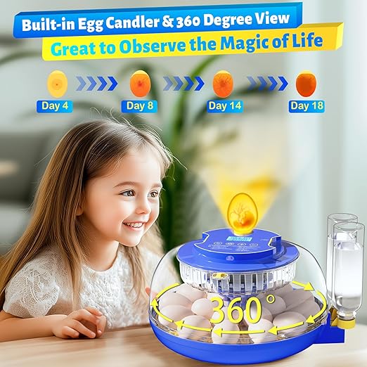 Incubator for Hatching 18 Eggs - Automatic Turning Smart Temp Humidity Control with Alarm, 360° Clear View Candler Function for Chicken Duck Quail Goose Poultry (Dual Trays) - Image 6
