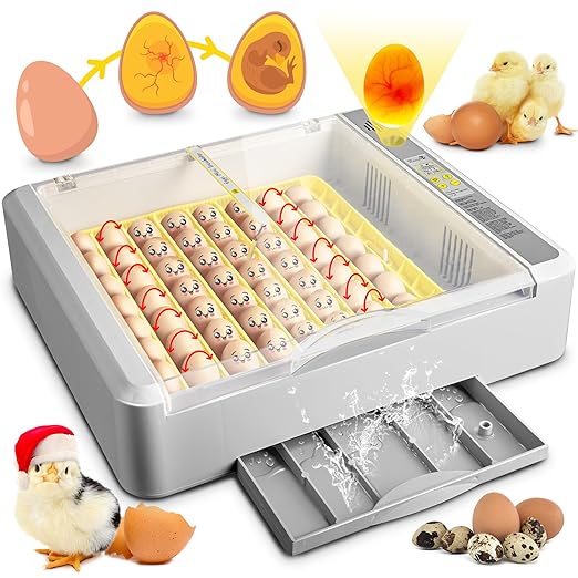 36-60 Egg Incubator with Automatic Egg Turning and Humidity Control, Chicken Egg Incubator with Digital Display, Adjustable Egg Incubators for Hatching Eggs Include Chicken Duck Quail Eggs by Innvello
