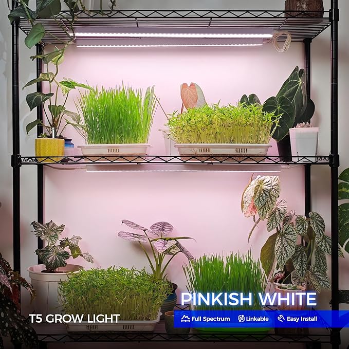 Barrina Grow Lights for Indoor Plants, Full Spectrum Sunlight, 2ft 40W (4 x 10W, 250W Equivalent), LED Grow Light Bulbs, T5 Grow Lights, Plug and Play, Pinkish White, 4-Pack - Image 2