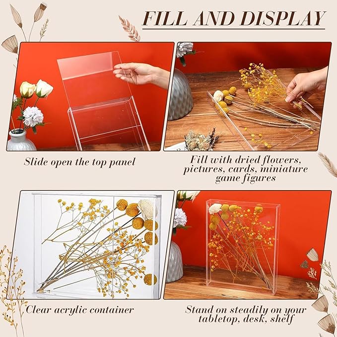 Clear Memory Box | Dried Flowers Picture Frame Memory Box,Handicrafts Storage Pictures Holder Specimens Collection for Postcards Trading Cards Souvenirs Photos - Image 4