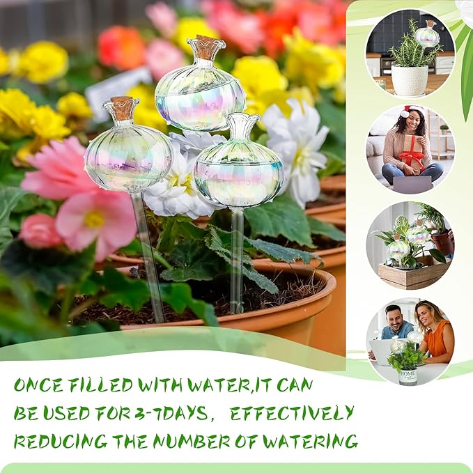 Yungyan 6 Pcs Self Watering Plant Globes Glass Cactus Insert Watering Devices Automatic Plant Watering Bulbs Water Globes for Indoor Outdoor Plants(Rainbow Color,9.84 Inch) - Image 2