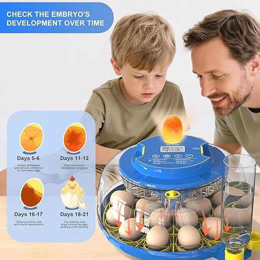 18 Egg Incubator for Hatching Chicken, Duck, Quail Eggs – 360° Visible Lid, Automatic Turning & Humidity Control, Built-in Egg Candler – Ideal for Home & Classroom Science Projects - Image 5