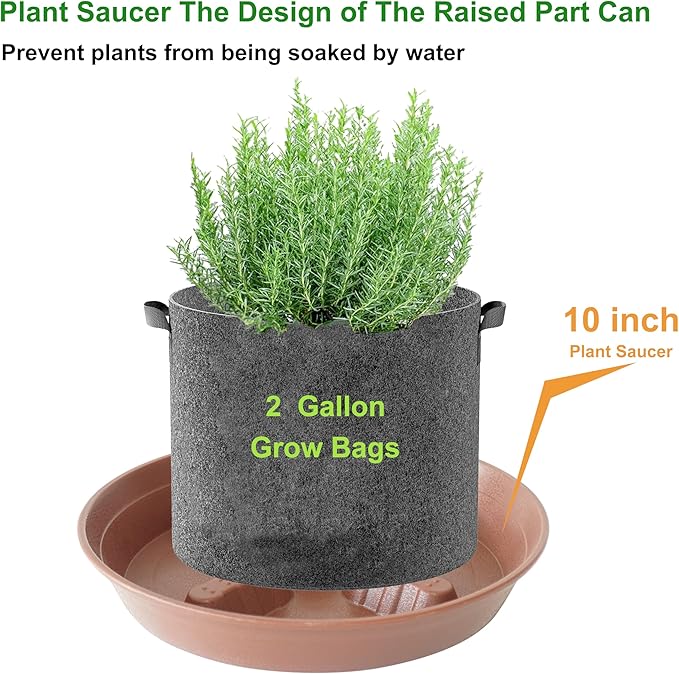 4 Pack Plant Saucer 10 inch, 8 12 14 17 inch, Plant Stand Plastic Plant Saucers for Indoors Outdoor, Heavy Duty Flower Plant Risers for Inside Pots, Pot Saucers for Plants, Grow Bags Saucers - Image 4