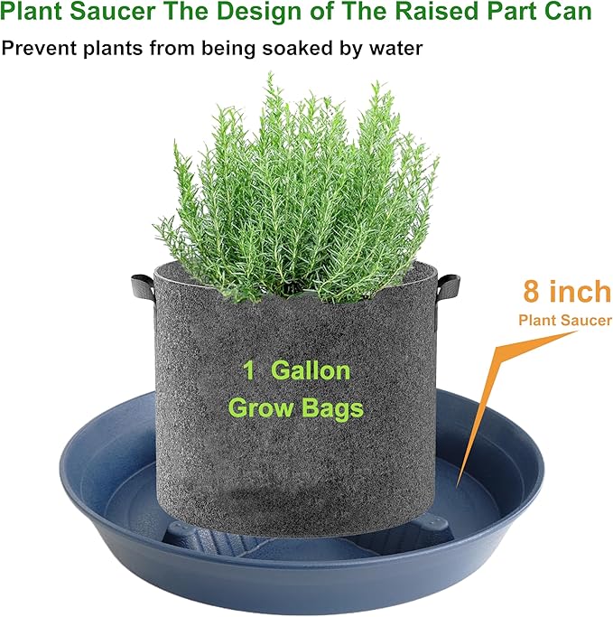 4 Pack Plant Saucer 8 inch, 10 12 14 17 inch, Plant Stand Plastic Plant Saucers for Indoors Outdoor, Heavy Duty Flower Planter Drip Trays for Pots, Pot Saucers for Plants, Grow Bags Saucers - Image 3