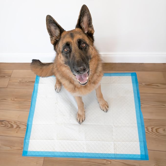 Four Paws Wee-Wee Superior Performance Pee Pads for Dogs with Runoff Barrier Edge Guard Protection, Puppy & Dog Potty Training Pads, Housebreaking Supplies, 28" x 34" (75 Count) - Image 6