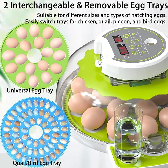 18/60 Egg Incubator with Humidity Display, Incubators for Hatching Eggs, Egg Candler, Automatic Egg Turner, Poultry Egg Incubator for Hatching Chicken Duck Goose Bird Quails- Green - Image 2