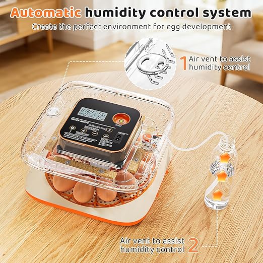 Incubators for Hatching Eggs 12 Egg Digital Egg Incubator Precision Auto Temp Humidity Control 6 Gear Adjustable Auto Turner Auto Stop Turning Hatching Days Display for Chicken Duck Goose Eggs - Image 5