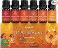 ASAKUKI Essential Oils for Diffusers for Home, Fragrance Oil for Candle Making, Peppermint, Vanilla Cupcake, Sparkling Cinnamon, Spiced Pumpkin, Christmas Wreath and Apple Cinnamon 6 x 10 ml by ASAKUKI