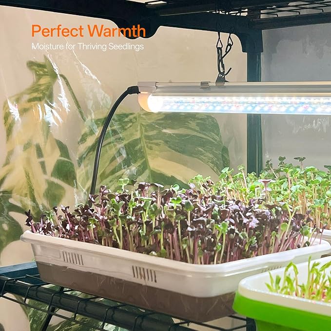 Bstrip Indoor Greenhouse with Grow Light, 4-Tier Mini Green House, 4Pcs Grow Lights for Indoor Plants with Timer, Zippered PVC Grow Tent with Airflow Windows, Indoor Greenhouse Cabinet 35x19.3x63in - Image 4