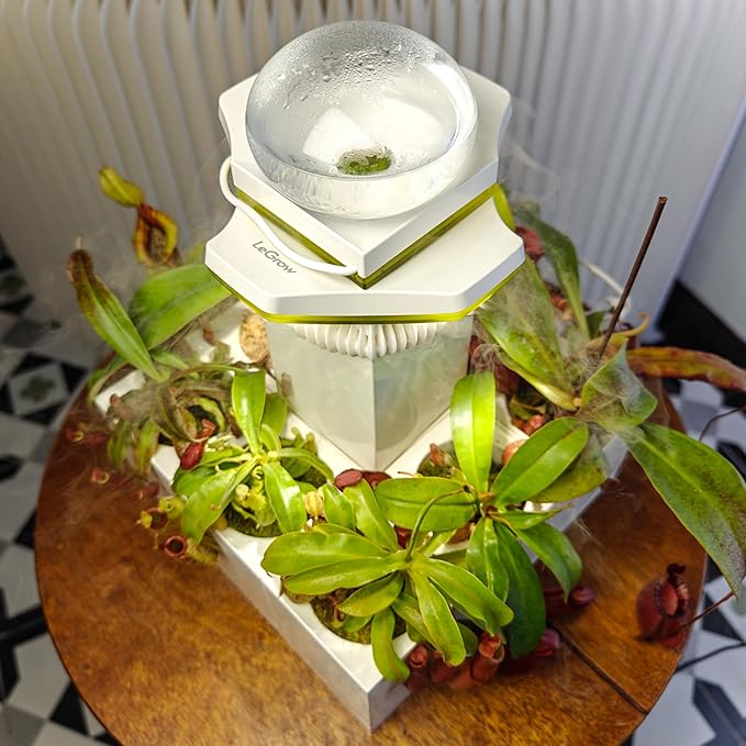 LeGrow Nepenthes Terrarium System – Pitcher Plant Planter with LED Grow Light & Humidifier, Self-Watering Indoor Carnivorous Plants Setup – No Live Plant, Beginner Friendly - Image 3