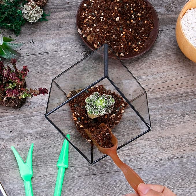 ELEGANTLIFE Glass Geometric Plant Terrarium Container, Flower Pot Tabletop Planter Decor Glass Display Box Succulent & Air Planter for Home Garden Office Decoration(Black Cubic Set of 2) - Image 7