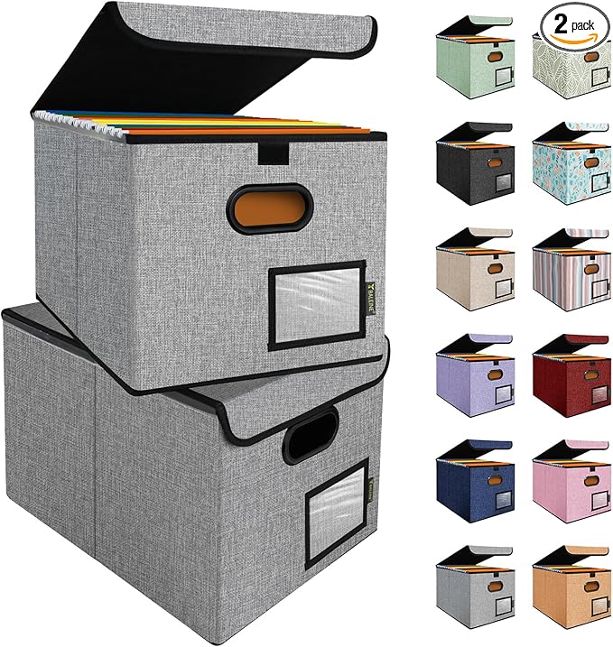 BALEINE File Organizer Box with Lid, Collapsible File Folder Organizer with Plastic Slide, Hanging File Folder Box for Office Document Storage (2 Pack, Grey) by BALEINE