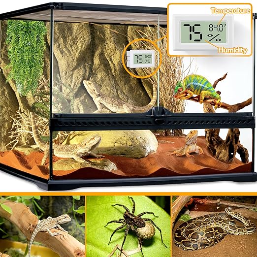 Bearded Dragon Accessories, 2 PCS Rectangle Reptile Thermometer and Humidity Gauge, Reptile Tank Accessories for Jumping Spider, Leopard Gecko, Hermit Crab, Gecko, Ball Python, Lizard - Image 2