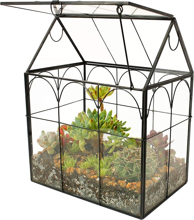 ELEGANTLIFE Glass Geometric Plant Terrarium,Succulent & Air Planter for Home Garden Office Decoration (Black House) by ELEGANTLIFE
