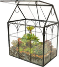 ELEGANTLIFE Glass Geometric Plant Terrarium,Succulent & Air Planter for Home Garden Office Decoration (Black House) by ELEGANTLIFE