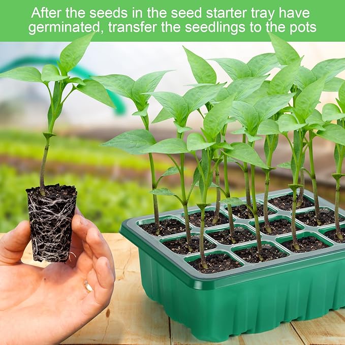 Lunies 6 Packs Seed Starter Tray with Grow Light, Indoor Greenhouse Seeding Starter Trays for Planting, Base Gardening Plant Germination Kit, Seed Starter Kit with Humidity Domes, (12 Cells per Tray) - Image 6