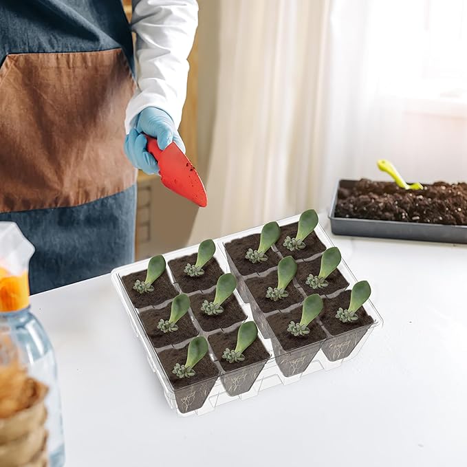 Gardzen 3 Pack Seed Starting Tray, Plant Germination Trays, Seed Starter Kit with Adjustable Humidity Vented Dome and Clear Base, Plant Growing Kit 6.6" x 4.5", Total 36-Cell, Clear - Image 6
