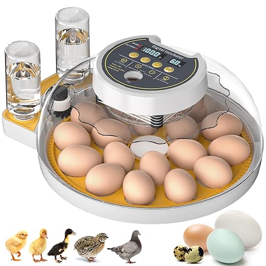 18 Egg Incubator with Automatic Egg Turning and Humidity Control, Incubators for Hatching Eggs, Incubator for Farm Science Classroom Home Chicken Duck by Onsju
