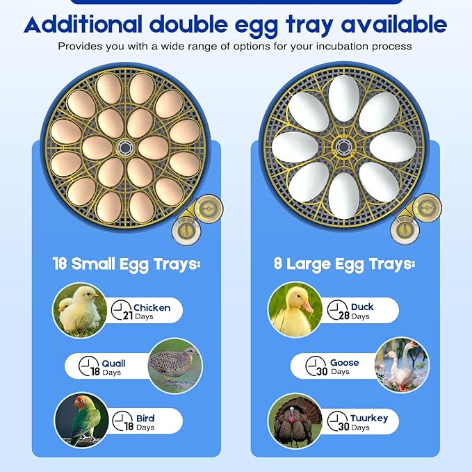 Egg Incubator for Hatching Chicks, 18 Eggs Automatic Egg Turner Multifunctional Smart Incubator 360° Clear Window with Temperature & Humidity Control, Egg Candler for Poultry Chickens Ducks Quails - Image 6