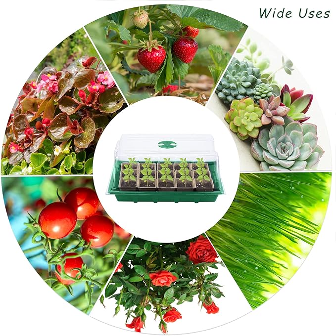 4 Pack Seed Starter Tray Kit, 120 Square Seed Peat Pots for Seedlings with Plants Labels, Planting Tools, Plastic Growing Germination Trays with Lids for Indoor Outdoor Gardening, Green - Image 5