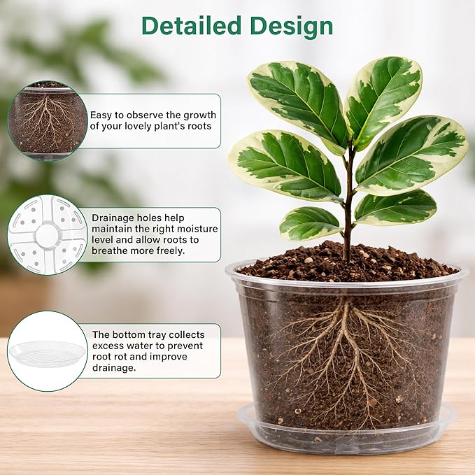 8 Packs 8 Inch Reinforced Large Clear Nursery Pots with Sacuers, Transparent Plastic Plant Pot Seedling Planter with Drainage Holes for Vegetable Propagation, Root Cutting, Seed Starting - Image 3