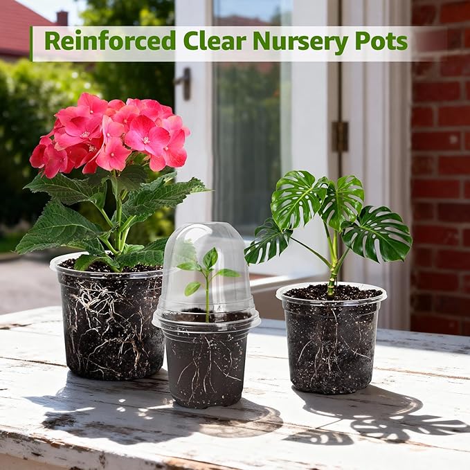 MIXC Clear Nursery Pots with Humidity Domes, 5/4/3.5 Inch Reinforced Transparent Plastic Pots for Planting with Drainage Holes, for Tomato Seedlings, Cactus, and Herbs, 30 Pack - Image 8