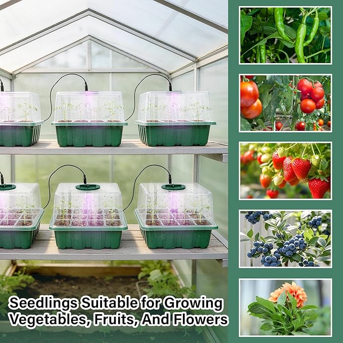 6 Pack Seed Starter Kit with Grow Light 72 Cells Plant Starter Trays with 3.9 Inch Adjustable Humidity Dome Reusable Indoor Plant Germination Tray for Gardening - Image 8