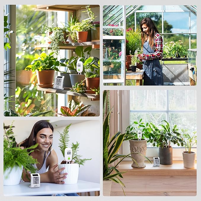 RAINPOINT Light-Driven Thermo-Hygrometer & Smart Digital Wireless Soil Moisture Meter (WiFi Hub Needed) Kit, Real-time Monitor Sensor Gardening Plant Care Essentials - Image 6