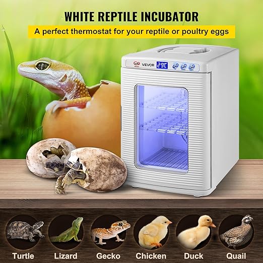 Happybuy White Reptile Incubator 25L Scientific Lab Incubator Digital Incubator Cooling and Heating 5-42°C Reptile Egg Incubator 12V/110V Work for Small Reptiles - Image 2