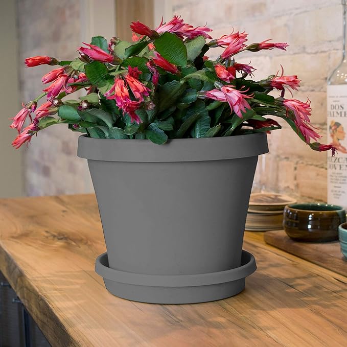 Bloem Terra Resin Saucer Tray: 8" Bottom Width - Charcoal Gray - Matte, Durable, Ribbed Bottom, Indoor and Outdoor, Fits 10" Terra Planters - Image 4
