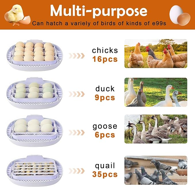 16 Egg Incubator with Automatic Egg Turning and Humidity Control,360 Degree View with Clear Window, Incubators for Hatching Eggs, Chicken, Ducks, Goose, Pigeon, Quail, Parrot - Image 4